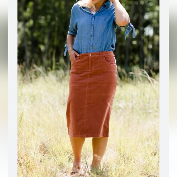 Inherit CO Dresses & Skirts - Inherit Co. Burnt orange skirt